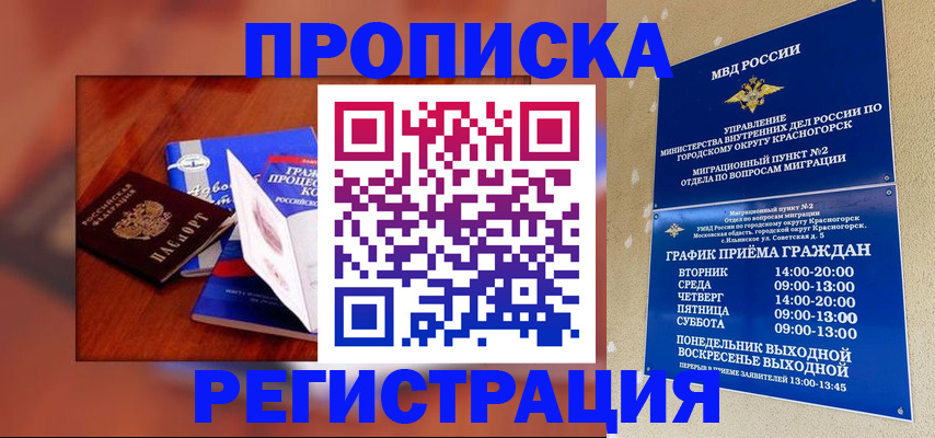 временная регистрация для школы в Мытищах